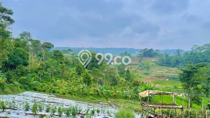 Tanah Dijual Lokasi Darangdan, Purwakarta Luas 2392m2 Legalitas Aman Tanah Dijual Lokasi Darangdan, Purwakarta Luas 2392m2 Legalitas Aman