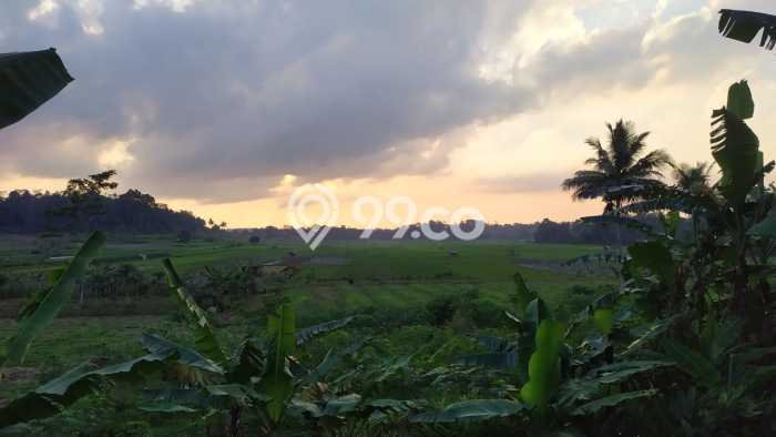 Tanah Kavling untuk Dijual di Kiarapedes Purwakarta 530m2 Tanah Kavling untuk Dijual di Kiarapedes Purwakarta 530m2