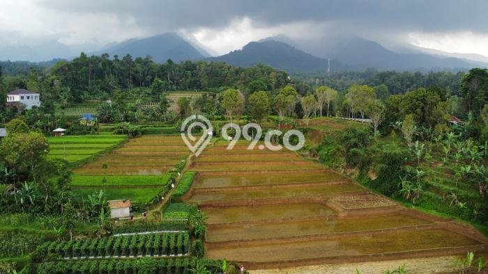 Tanah di Bojong, Luas 9639m2m², Kawasan Bisnis Tanah di Bojong, Luas 9639m2m², Kawasan Bisnis