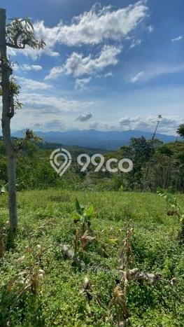 Tanah untuk Dijual di Sumedang Selatan Sumedang Luas 2774m2 Tanah untuk Dijual di Sumedang Selatan Sumedang Luas 2774m2