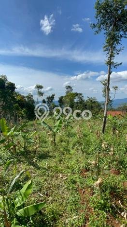 Tanah untuk Dijual di Sumedang Selatan Sumedang Luas 2774m2 Tanah untuk Dijual di Sumedang Selatan Sumedang Luas 2774m2