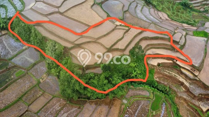 Tanah untuk Dijual Lokasi Darangdan, Purwakarta Luas 2500m2 - Tanah untuk Dijual Lokasi Darangdan, Purwakarta Luas 2500m2 -