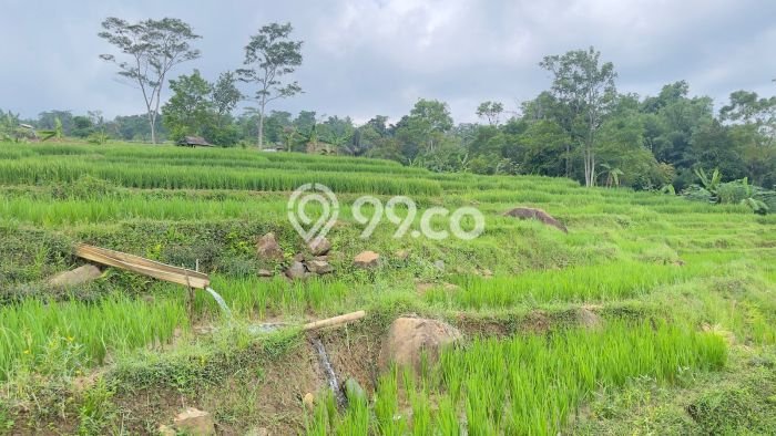 Tanah Komersial Dijual di Bojong Purwakarta 2741m2 Tanah Komersial Dijual di Bojong Purwakarta 2741m2