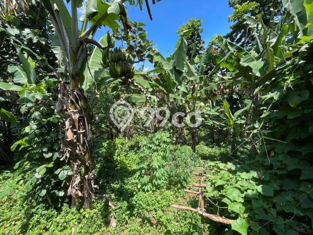 Tanah Dijual Lokasi Sumedang Selatan Sumedang SHM Tanah Dijual Lokasi Sumedang Selatan Sumedang SHM
