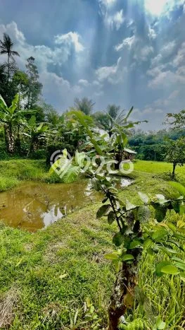 Tanah Strategis Dijual di Bojong Purwakarta 625m2 Tanah Strategis Dijual di Bojong Purwakarta 625m2