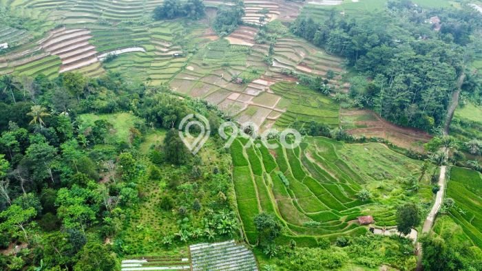 Tanah Dijual Lokasi Darangdan, Purwakarta Luas 2392m2 Legalitas Aman Tanah Dijual Lokasi Darangdan, Purwakarta Luas 2392m2 Legalitas Aman