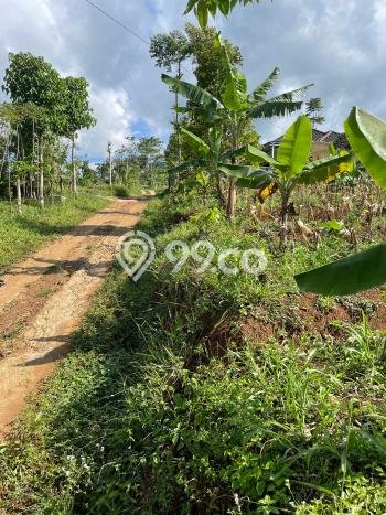 Tanah untuk Dijual di Sumedang Selatan Sumedang Luas 2774m2 Tanah untuk Dijual di Sumedang Selatan Sumedang Luas 2774m2