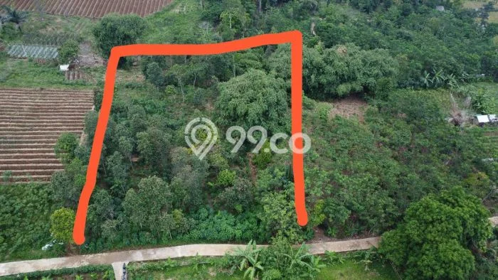 Tanah Dijual Lokasi Bojong, Purwakarta dengan Luas Tanah 1885m2 dan Status SHM Tanah Dijual Lokasi Bojong, Purwakarta dengan Luas Tanah 1885m2 dan Status SHM