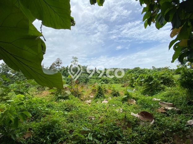 Tanah Lokasi Prima di Cibatu, Luas 10000m2m², Kawasan Nyaman, Dekat Cibatu, Purwakarta, Purwakarta Tanah Lokasi Prima di Cibatu, Luas 10000m2m², Kawasan Nyaman, Dekat Cibatu, Purwakarta, Purwakarta