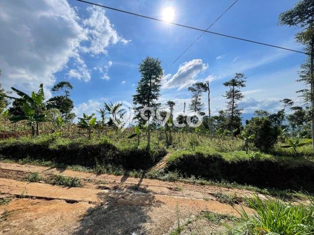 Tanah untuk Dijual di Sumedang Selatan Sumedang Luas 2774m2 Tanah untuk Dijual di Sumedang Selatan Sumedang Luas 2774m2