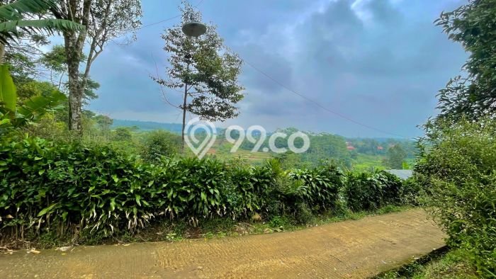 Tanah Dijual Lokasi Darangdan, Purwakarta Luas 2392m2 Legalitas Aman Tanah Dijual Lokasi Darangdan, Purwakarta Luas 2392m2 Legalitas Aman
