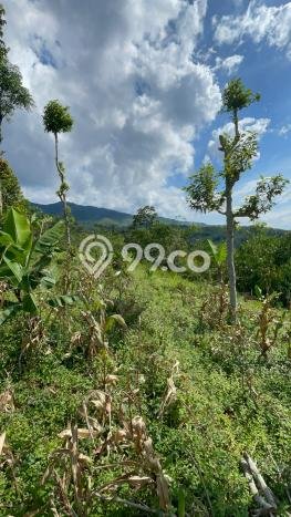 Tanah untuk Dijual di Sumedang Selatan Sumedang Luas 2774m2 Tanah untuk Dijual di Sumedang Selatan Sumedang Luas 2774m2