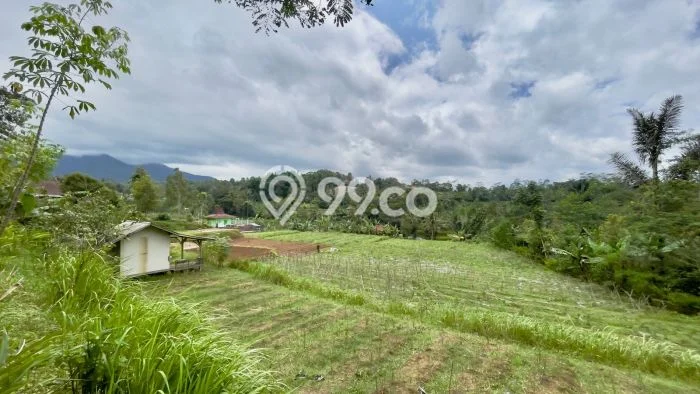 Kavling Tanah di Bojong Dijual Luas 5007m2 Legalitas SHM Kavling Tanah di Bojong Dijual Luas 5007m2 Legalitas SHM
