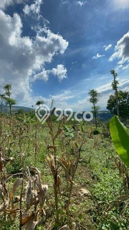 Tanah untuk Dijual di Sumedang Selatan Sumedang Luas 2774m2 Tanah untuk Dijual di Sumedang Selatan Sumedang Luas 2774m2