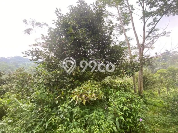 Tanah Strategis Dijual di Bojong Purwakarta 1200m2 Tanah Strategis Dijual di Bojong Purwakarta 1200m2