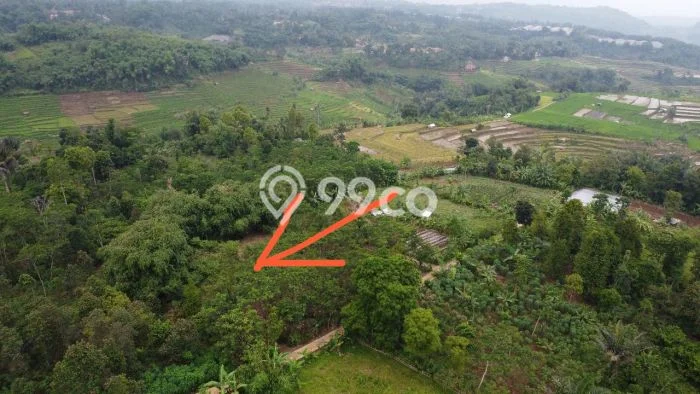 Tanah Dijual Lokasi Bojong, Purwakarta dengan Luas Tanah 1885m2 dan Status SHM Tanah Dijual Lokasi Bojong, Purwakarta dengan Luas Tanah 1885m2 dan Status SHM