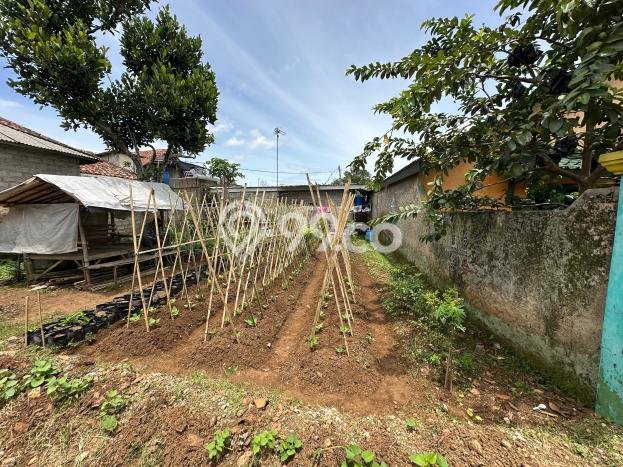 Rumah Budget Favorit Siap Huni Area Darangdan LT 270m2 Rumah Budget Favorit Siap Huni Area Darangdan LT 270m2