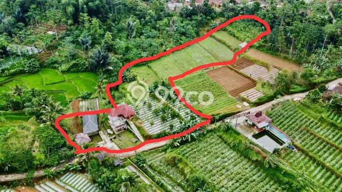 Kavling Tanah di Bojong Dijual Luas 5007m2 Legalitas SHM Kavling Tanah di Bojong Dijual Luas 5007m2 Legalitas SHM