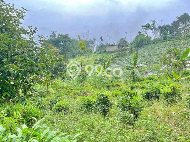 Tanah Dijual Lokasi Darangdan, Purwakarta Luas 2392m2 Legalitas Aman Tanah Dijual Lokasi Darangdan, Purwakarta Luas 2392m2 Legalitas Aman