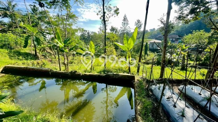 Lahan untuk Dijual di Bojong Purwakarta Luas 728m2 Lahan untuk Dijual di Bojong Purwakarta Luas 728m2