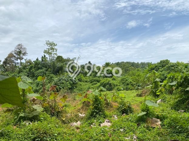Tanah Lokasi Prima di Cibatu, Luas 10000m2m², Kawasan Nyaman, Dekat Cibatu, Purwakarta, Purwakarta Tanah Lokasi Prima di Cibatu, Luas 10000m2m², Kawasan Nyaman, Dekat Cibatu, Purwakarta, Purwakarta