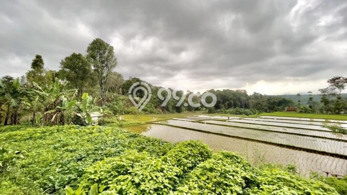 Tanah di Bojong, Luas 9639m2m², Kawasan Bisnis Tanah di Bojong, Luas 9639m2m², Kawasan Bisnis