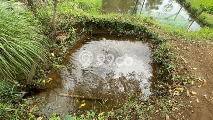 Tanah Dijual Lokasi Bojong Purwakarta SHM Tanah Dijual Lokasi Bojong Purwakarta SHM