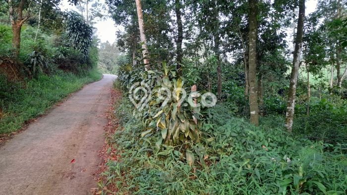 Lahan Investasi Lokasi Bojong Purwakarta SHM Lahan Investasi Lokasi Bojong Purwakarta SHM