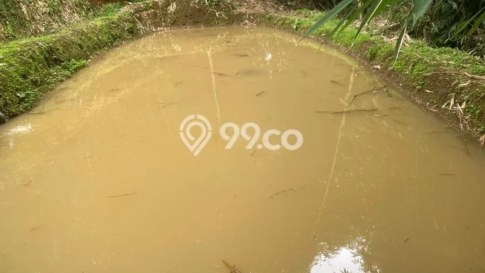 Tanah Dijual Lokasi Bojong Purwakarta SHM Tanah Dijual Lokasi Bojong Purwakarta SHM