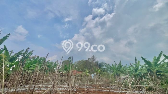 Lahan untuk Dijual Lokasi Bojong, Purwakarta Luas 810m2 SHM Lahan untuk Dijual Lokasi Bojong, Purwakarta Luas 810m2 SHM