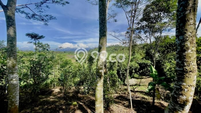Tanah Lokasi Strategis Kawasan Bojong, Luas 480m², Akses ke Pusat Kota Tanah Lokasi Strategis Kawasan Bojong, Luas 480m², Akses ke Pusat Kota