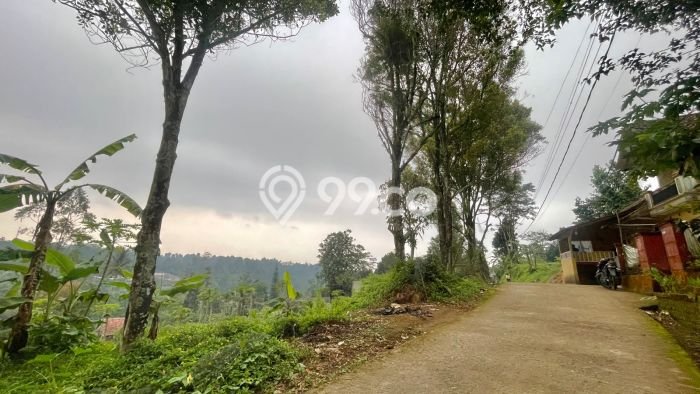 Tanah di Bojong, Purwakarta Luas 1300m2 Dijual Segera Tanah di Bojong, Purwakarta Luas 1300m2 Dijual Segera