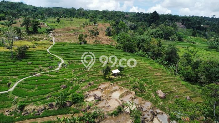 Tanah Komersial Dijual di Bojong Purwakarta 2741m2 Tanah Komersial Dijual di Bojong Purwakarta 2741m2
