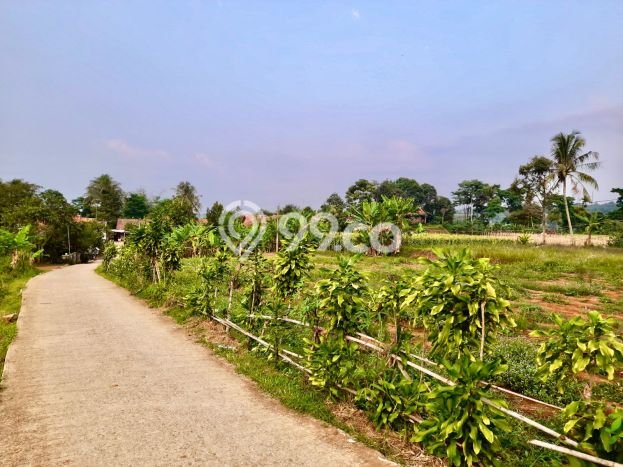 Tanah di Darangdan, Luas 1300m², Akses Jalan Raya Tanah di Darangdan, Luas 1300m², Akses Jalan Raya