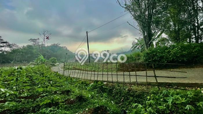 Tanah untuk Dijual di Bojong Purwakarta Luas 318m2 Tanah untuk Dijual di Bojong Purwakarta Luas 318m2