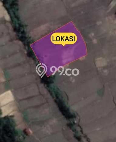 Tanah Dijual Lokasi Campaka, Purwakarta Luas 295m2 Legalitas Aman Tanah Dijual Lokasi Campaka, Purwakarta Luas 295m2 Legalitas Aman