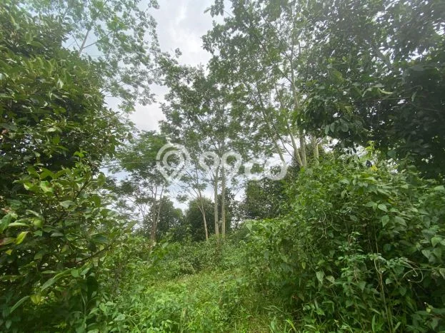 Tanah Strategis Dijual di Bojong Purwakarta 1200m2 Tanah Strategis Dijual di Bojong Purwakarta 1200m2