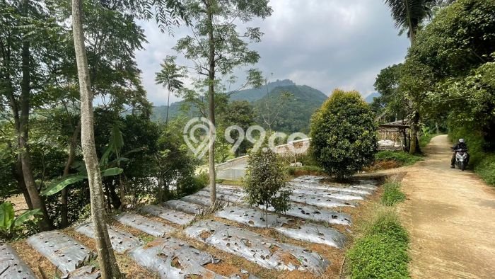 Tanah Kawasan Bojong, Luas 1019m2m², Area Strategis, Kawasan Nyaman, Kontur Datar Tanah Kawasan Bojong, Luas 1019m2m², Area Strategis, Kawasan Nyaman, Kontur Datar