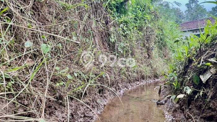 Tanah di Bojong, Purwakarta Luas 1300m2 Dijual Segera Tanah di Bojong, Purwakarta Luas 1300m2 Dijual Segera