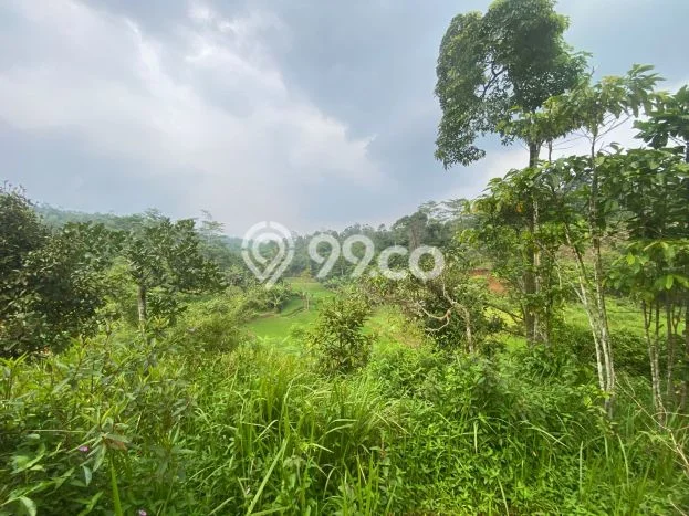 Tanah Strategis Dijual di Bojong Purwakarta 1200m2 Tanah Strategis Dijual di Bojong Purwakarta 1200m2
