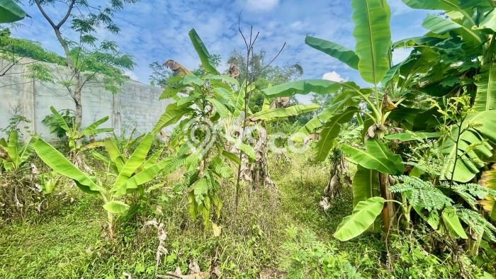 Lahan Kosong Dijual di Purwakarta dengan Area 1386m2 Lahan Kosong Dijual di Purwakarta dengan Area 1386m2