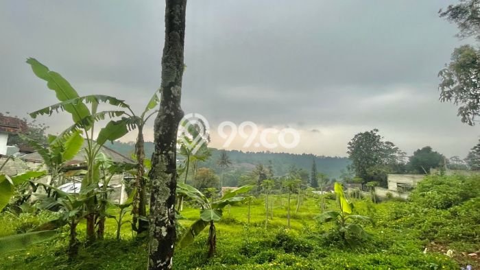 Tanah di Bojong, Purwakarta Luas 1300m2 Dijual Segera Tanah di Bojong, Purwakarta Luas 1300m2 Dijual Segera