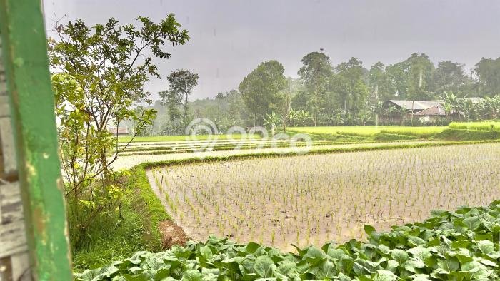 Tanah di Bojong, Luas 9639m2m², Kawasan Bisnis Tanah di Bojong, Luas 9639m2m², Kawasan Bisnis