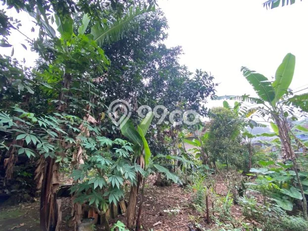 Jarang Ada! Tanah di Bojong Punya Luas 469m2 SHM Jarang Ada! Tanah di Bojong Punya Luas 469m2 SHM