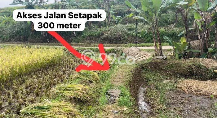 Tanah untuk Dijual Lokasi Darangdan, Purwakarta Luas 2500m2 - Tanah untuk Dijual Lokasi Darangdan, Purwakarta Luas 2500m2 -