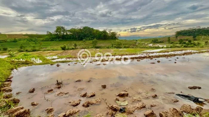 Lahan Dijual Lokasi Darangdan, Purwakarta dengan Luas Tanah 1748m2 dan Status SHM Lahan Dijual Lokasi Darangdan, Purwakarta dengan Luas Tanah 1748m2 dan Status SHM