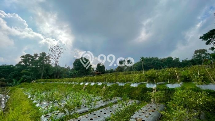 Vila di Bojong, Area 1750m2m², Lokasi Strategis untuk usaha Vila di Bojong, Area 1750m2m², Lokasi Strategis untuk usaha