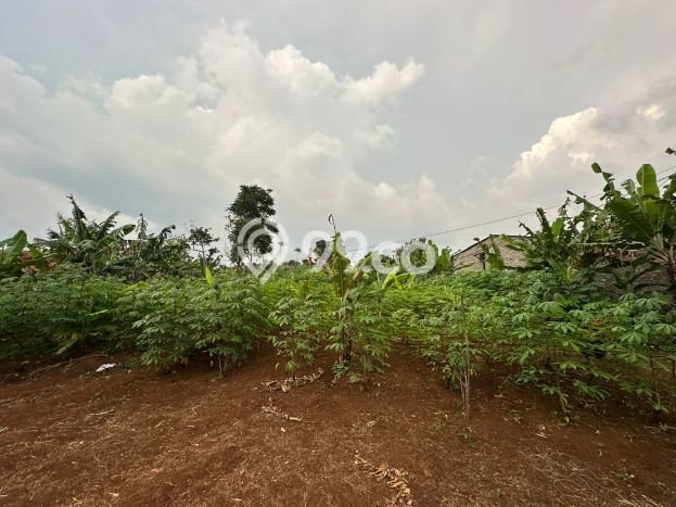 Lahan untuk Dijual Lokasi Ngamprah, Bandung Barat Luas 700m2 SHM Lahan untuk Dijual Lokasi Ngamprah, Bandung Barat Luas 700m2 SHM