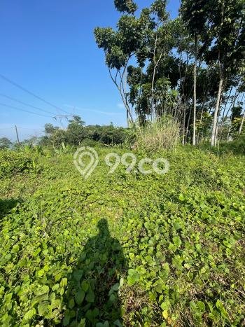 Kavling Tanah di Sumedang Utara Dijual Luas 435m2 Legalitas SHM Kavling Tanah di Sumedang Utara Dijual Luas 435m2 Legalitas SHM