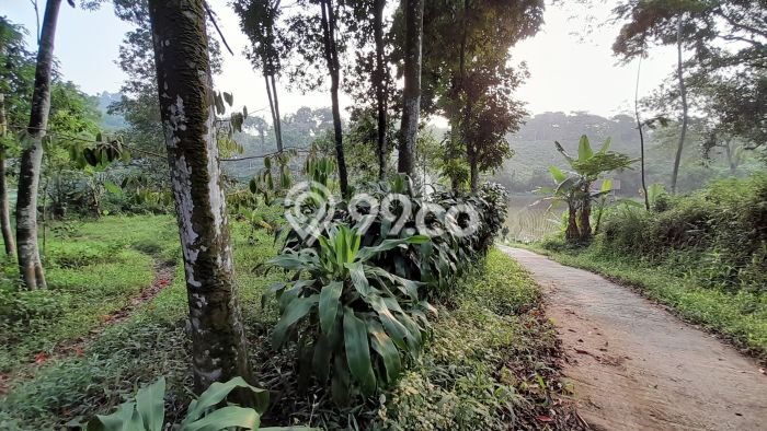 Lahan Investasi Lokasi Bojong Purwakarta SHM Lahan Investasi Lokasi Bojong Purwakarta SHM